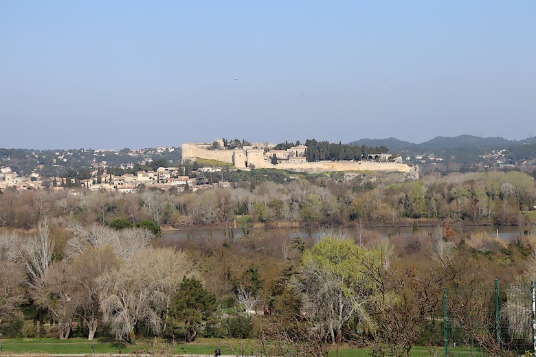 Villeneuve-lès-Avignon : Fort Saint-André à l'horizon
