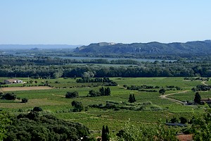 Paysage viticole avec vue sur le Rhône