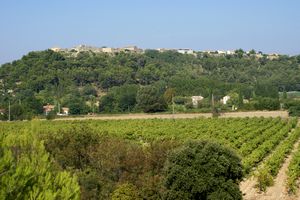 Léger aperçu du village
