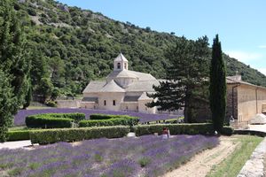 Vue d'ensemble du site