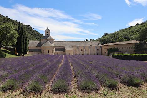 Vue sur le village de Roussillon