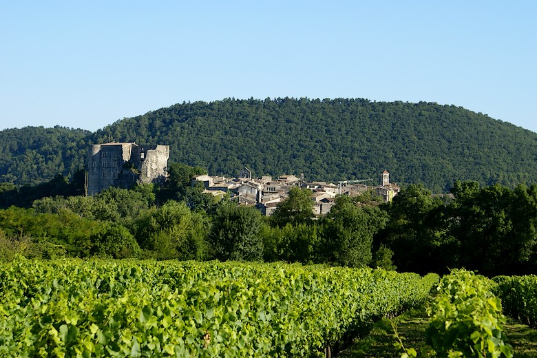 Alba-la-Romaine (Ardèche) - Le village à l'horizon