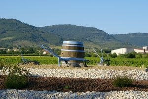 Matériel viticole (déco)