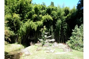 Au jardin