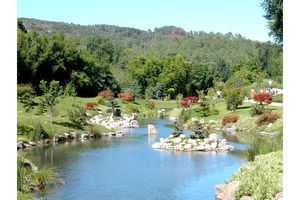 Vue étendue sur le jardin