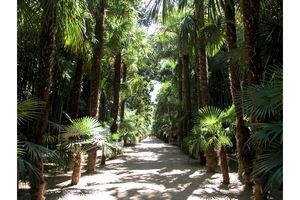 Bambouseraie de Prafrance