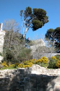 Fouille archéologique au pied du château