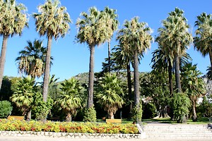 Jardin de la Rotonde