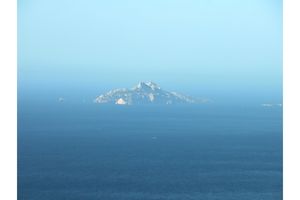 Zoom sur l'Île de Riou