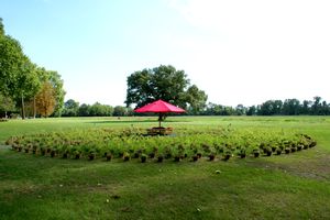 Jardin à l'entrée du château