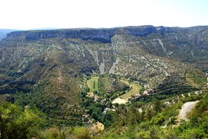 Vue d'ensemble du site