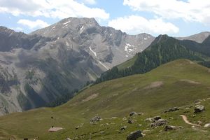 Zoom sur un Massif Alpin