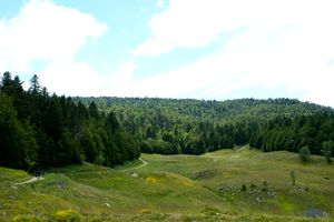 Au pied d’un massif forestier