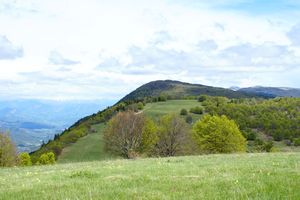 Zoom sur la Montagne de Lure