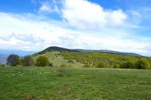 Montagne de Lure à l'horizon