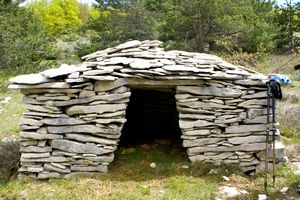 Rencontre d'un autre mini jas