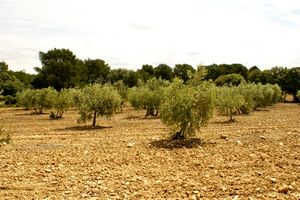 Chaine d'Eguilles ouest