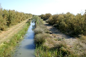 Un canal