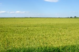 « La Grand Mar » : paysage en retrait