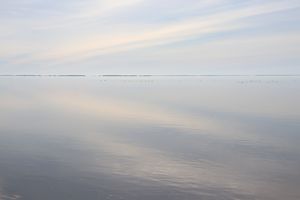 Point de vue sur l'étang