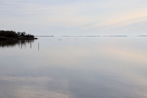 L'étang direction sud-ouest