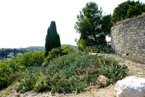 Coin naturel dans les hauteurs du village