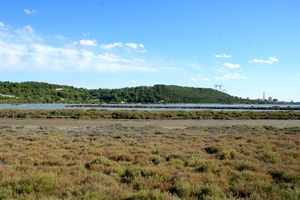 Vue vers le sud-est de l'étang