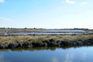 Les Salins de Fos