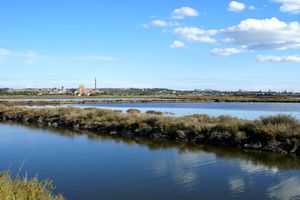 Vue étentue sur les Salins de Fos
