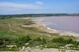 Zone nord de l'étang