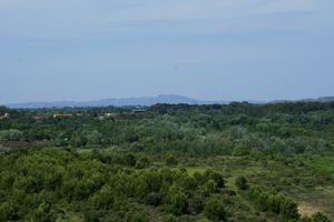 Chaine des Alpilles à l'horizon