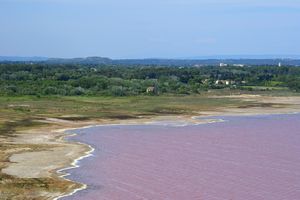 Zoom sur le paysage de Lavalduc direction Istres