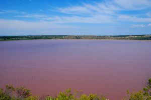 Point de vue au coeur de l'étang