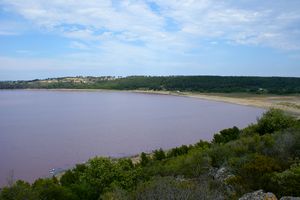 Arrivée vers le sud de l'étang