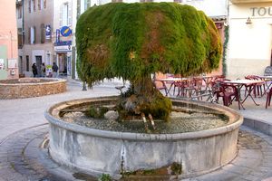 Fontaine moussue