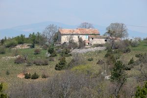 Mas provençal