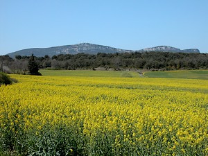 Mont Bouquet à l’horizon