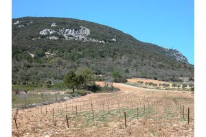 Au pied du Guidon du Bouquet