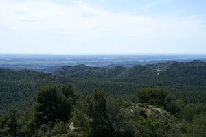Vue en direction de la Camargue