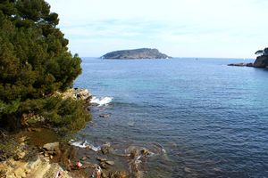 Aperçu de l'île Verte