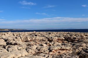 Aperçu de la ville de Marseille à l'horizon