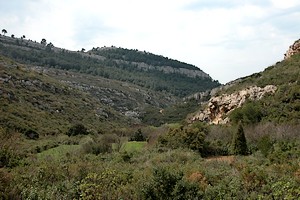 Paysage