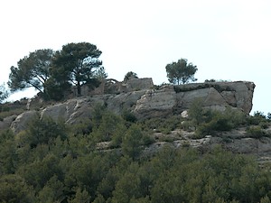 Paysage