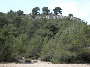 Paysage