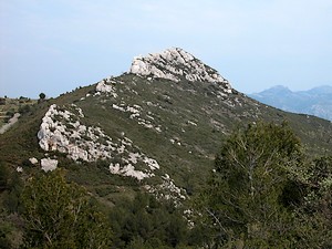 Paysage