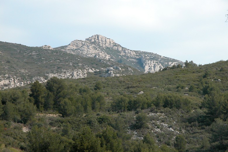 Paysage