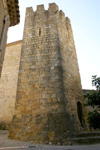 Une tour de la fortification