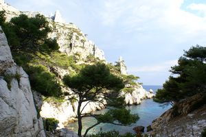 Aux fins fonds de la calanque de Sugiton