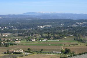 Le Mont Ventoux à l'horizon