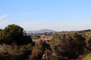 Chaine des Alpilles à l'horizon